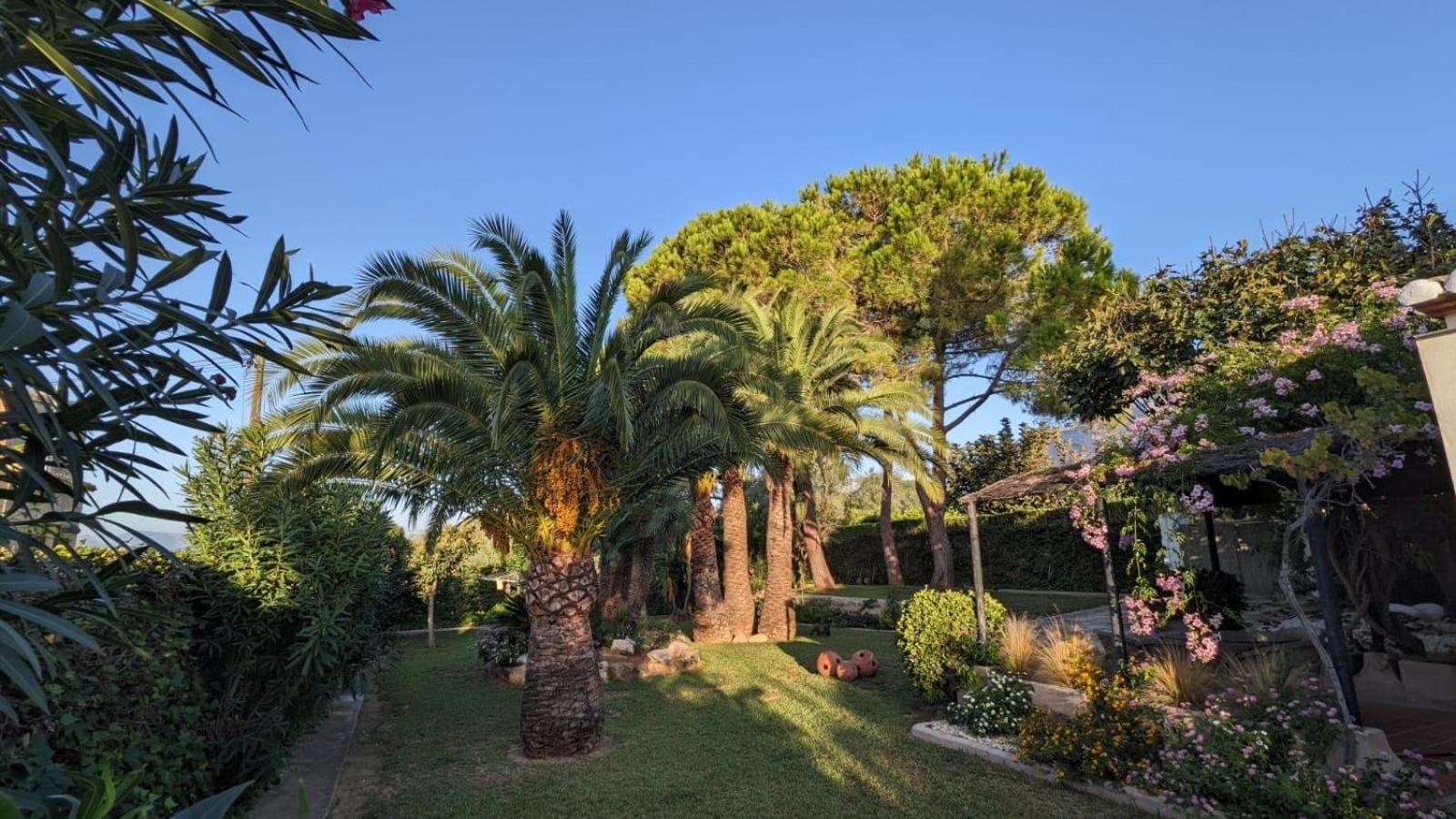 Jávea Ca Toscaヴィラ エクステリア 写真